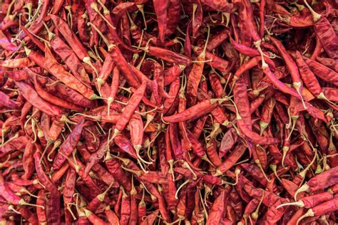 Pmw® - Grade A Quality - Guntur Mirchi - Hot Hot Dried Red Chilli - 500 Grams: Amazon.in ...