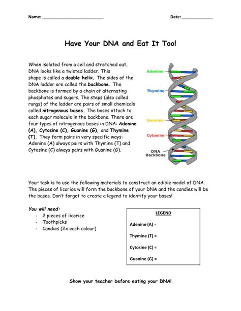 Candy Dna Model Worksheets