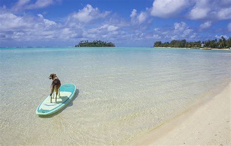 Where Are the Best Beaches in Rarotonga? - Jonistravelling