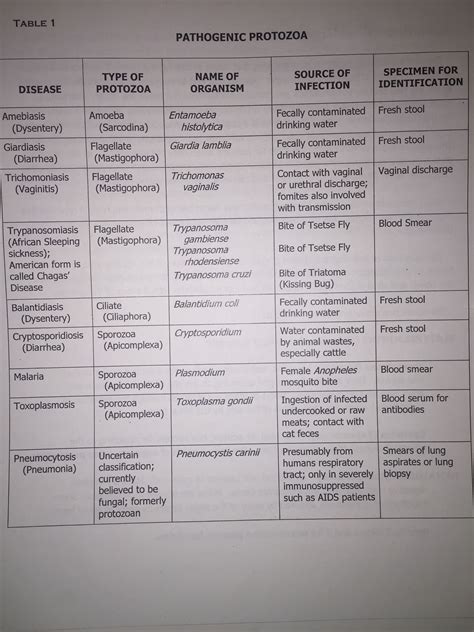 Pathogenic Protozoa | Medical laboratory scientist, Medical laboratory ...