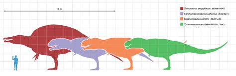 Tyrannosaurus Rex Vs Spinosaurus Vs Giganotosaurus