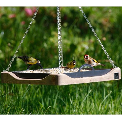 20++ Hanging Bird Feeder Tray - HOMYHOMEE