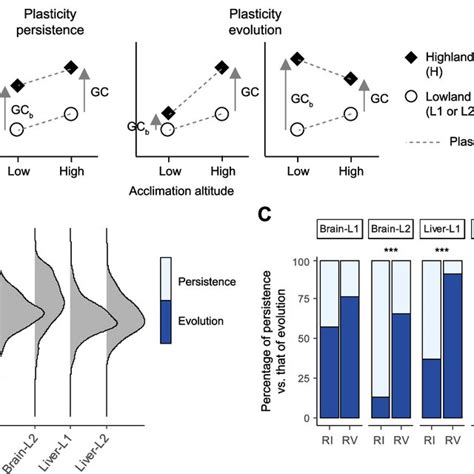 Persistence versus evolution of expression plasticity over the course... | Download Scientific ...