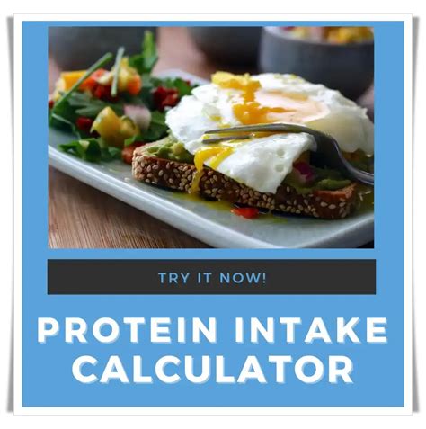 Super Protein Intake Calculator - bc-educate