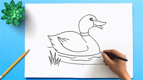 How To Draw A Duck Easy