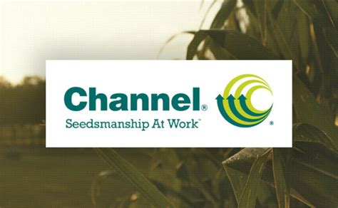 Channel Seed Products | Pro Ag Supply