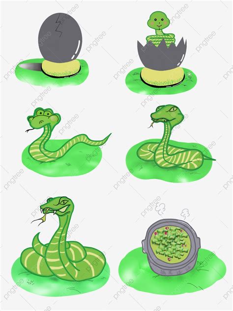 Growth clipart animal growth, Picture #2783030 growth clipart animal growth