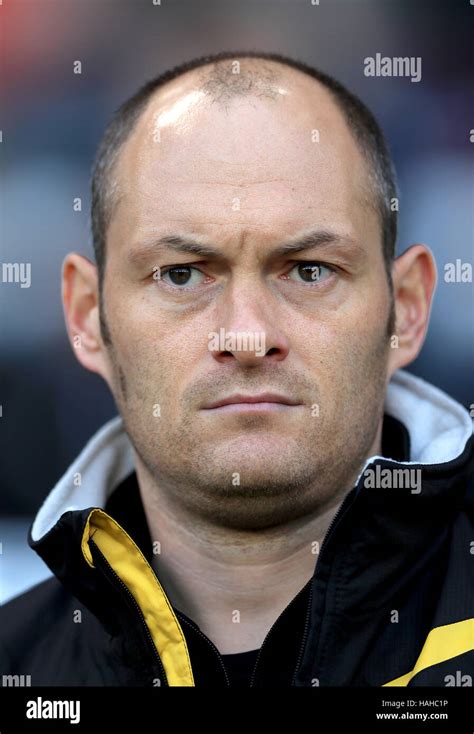 Norwich City manager Alex Neil Stock Photo - Alamy