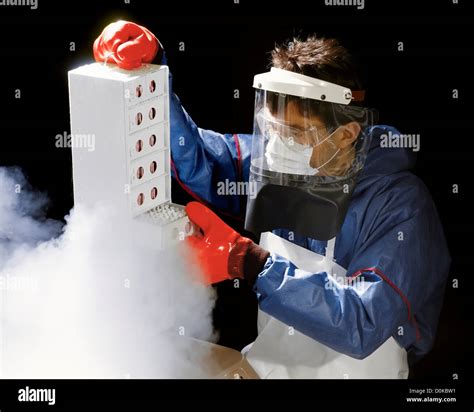 Cryo Storage of Cell Cultures Stock Photo - Alamy