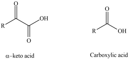 Identify the amino acid that is a catabolic precursor of the -keto acid ...