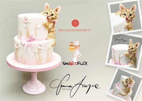 New Kitten Class - Emma Jayne Cake Design