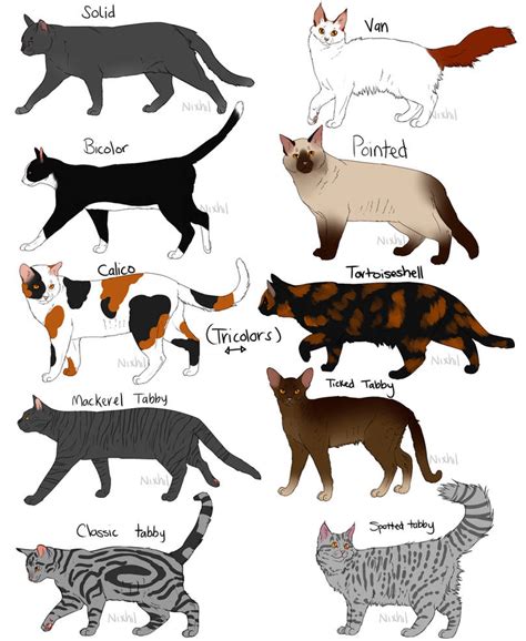 Cat Fur Patterns by Nixhil on DeviantArt