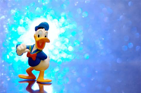 Magical Donald Duck | Photos | JD Hancock