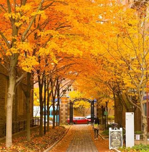 Where to View Spectacular Fall Foliage in Greater Philadelphia | Fall foliage, Fall colors ...