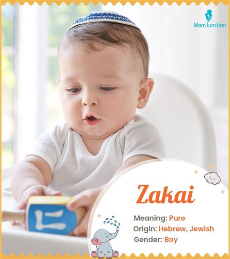 Zakai Name Meaning, Origin, History, And Popularity | MomJunction