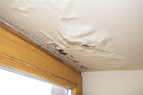 Why You Shouldn’t Neglect Water Stains on Ceiling | Findlay Roofing