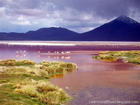 Another View Of Laguna Colorada Located In Bolivia Close To The Chilie ...