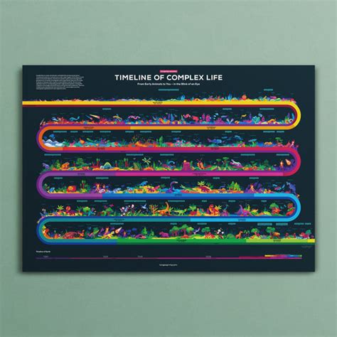 Timeline of Evolution | Infographic Poster – the kurzgesagt shop