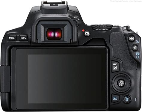 Canon EOS Rebel SL3 / 250D Review