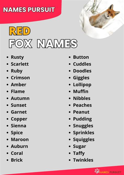 320+ Red Fox Names [Cute, Funny, Badass, & More]