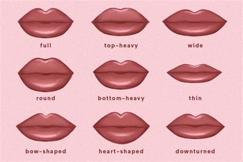 9 Common Lip Shapes & How To Enhance Each With Makeup