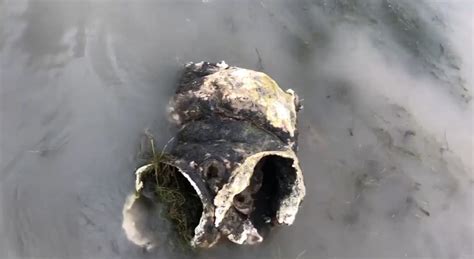 Latest discovery at Lake Mead confirmed as partial human remains