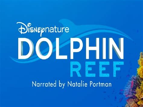 Dolphin Reef (2020) - GoStreaming.nl