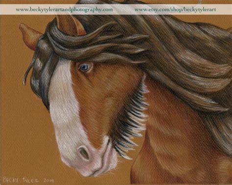 Wild Clydesdale Horse Original Drawing | Etsy