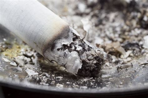 107 Cigarette Ashes Texture Stock Photos - Free & Royalty-Free Stock Photos from Dreamstime