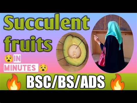 Succulent fruits and it's types||Drupes|Berries|Pomes||Epicarp, mesocarp and endocarp - YouTube