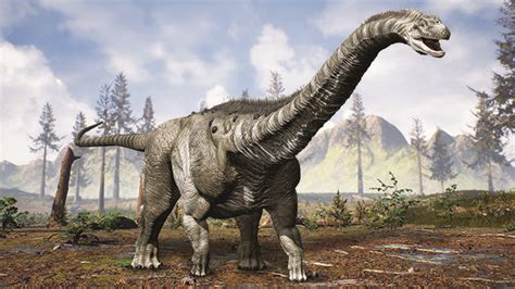 What Was The Biggest Dinosaur? How Scientists Determine Giant Prehistoric Record-Breakers ...