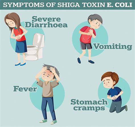 The E.coli symptoms you need to look out for after one person dies from contaminated cheese ...