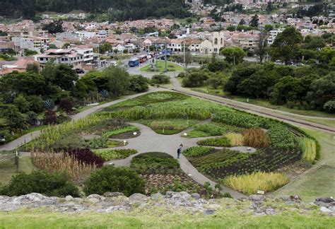 Best Hornado in Ecuador | Not Your Average American