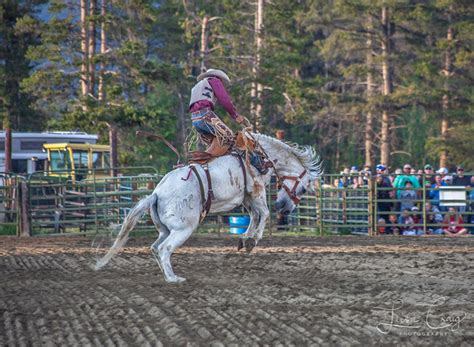 High Country Stampede Rodeo | Winter Park, North Central, Colorado | Colorado Vacation Directory