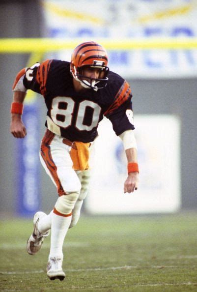 Cris Collinsworth | Cincinnati bengals football, Bengals football, Nfl ...