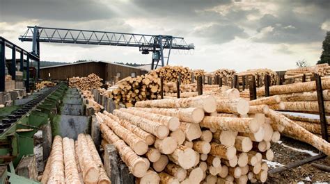 What is a Lumber Mill? (with pictures)