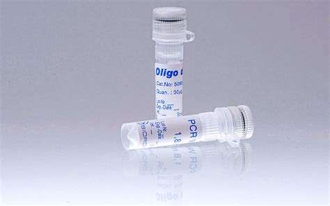 Oligo (dT) 20 Primer – BIORON GmbH