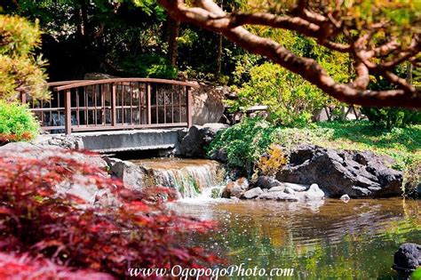 Kasugai Gardens - Kelowna