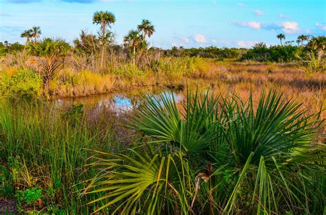 Everglades Safari Park