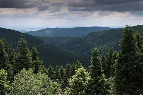 thuringian forest, forest, thuringia germany, spruce, high, steep, perspective, rennsteig | Pikist