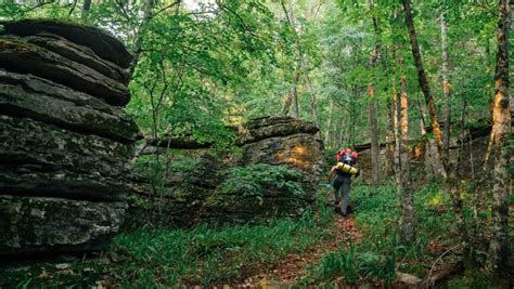 Hike the Buffalo River Trail | Buffalo Outdoor Center