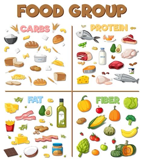 Premium Vector | The four main food groups