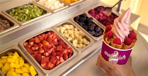 Things you should know before opening a frozen yogurt store - Small Biz ...