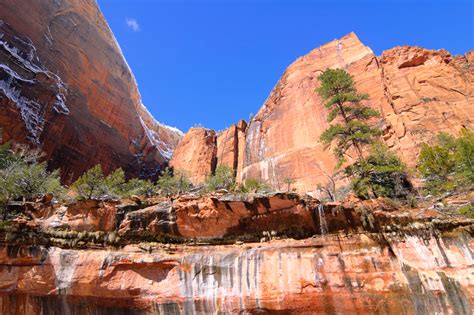 Zion National Park, Utah - the pure inspiration - Andrei Verner