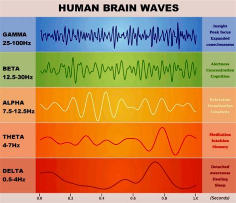 Boost Your Performance: The Magic of Binaural Beats in Meditation ...