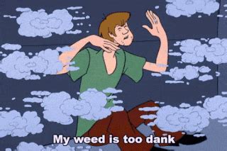 Are Scooby-Doo and Shaggy Getting high | Cartoon Amino