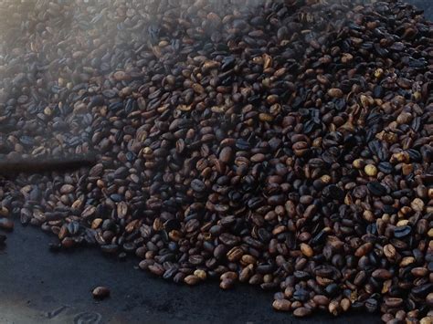 Jimma, Keffa. Origin Of Coffee Ethiopia, Peppercorn, Condiments, Coffee, The Originals, Food ...