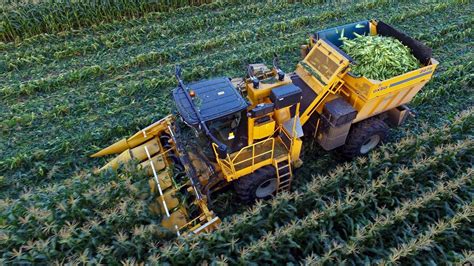 Sweet harvest | Oxbo 2475 corn picker | Organic sweet corn harvest 2017 ...