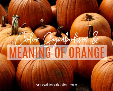 Meaning Of Orange: Color Psychology And Symbolism