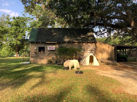 Country Store | Golden Acres Ranch